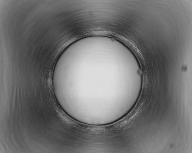 X0000101150889200806270757