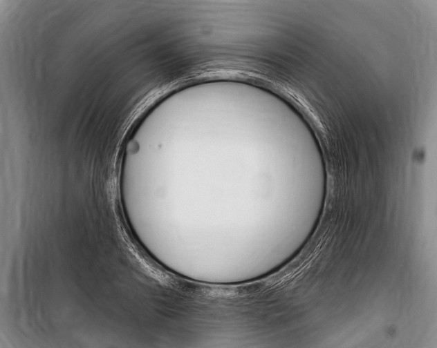 X0000101150890200806270757