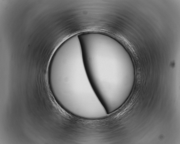 X0000101150892200806270757