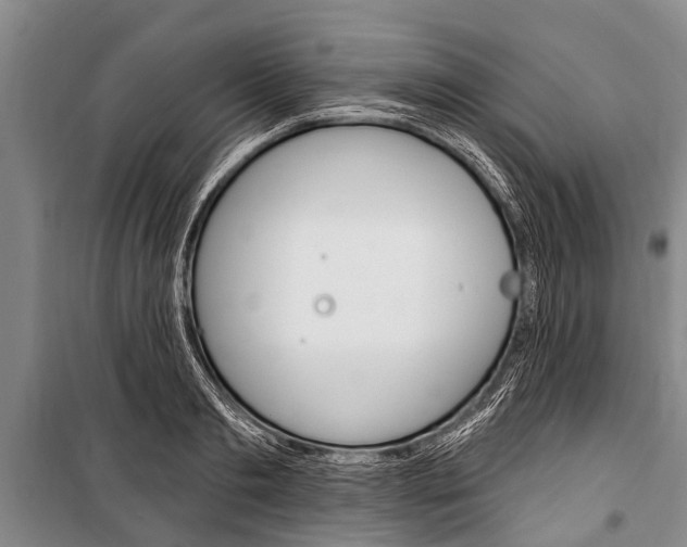 X0000101150893200806270757