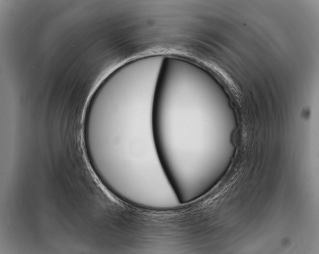 X0000101150894200806270757
