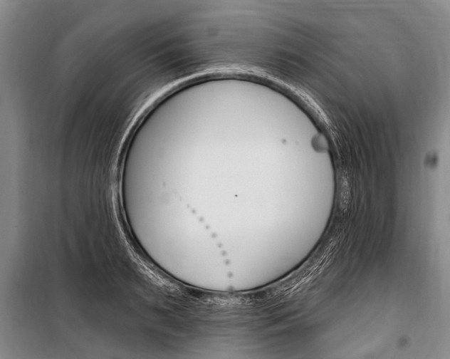 X0000101150895200806270757