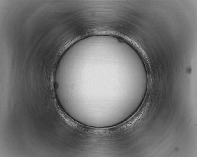 X0000101150897200806270757