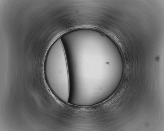 X0000101150898200806270757