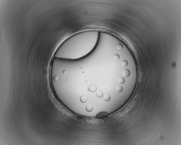 X0000101150899200806270757
