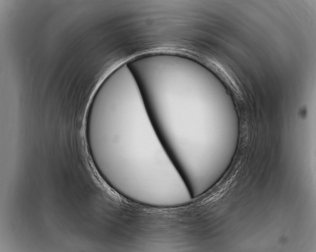 X0000101150900200806270757