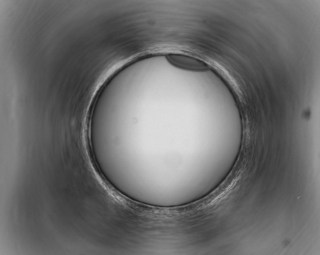 X0000101150901200806270757