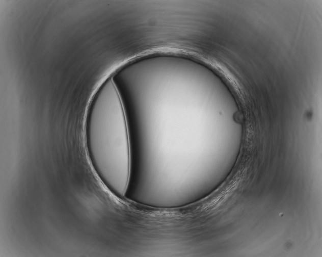 X0000101150902200806270757