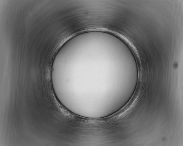 X0000101150905200806270757