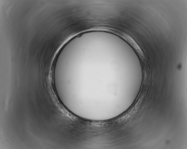 X0000101150908200806270757