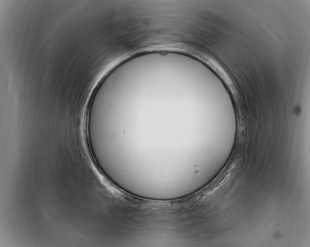 X0000101150909200806270757
