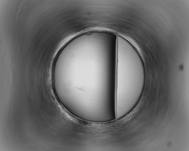 X0000101150910200806270757