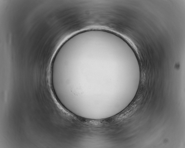 X0000101150911200806270757