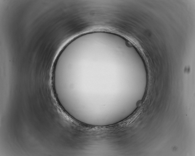 X0000101150912200806270757