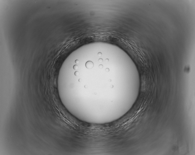 X0000101150913200806270756