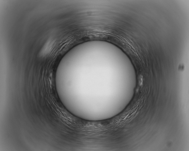 X0000101150915200806270756