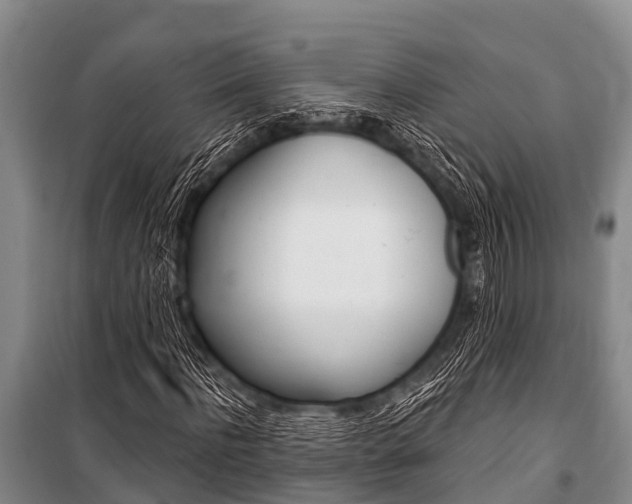 X0000101150916200806270756