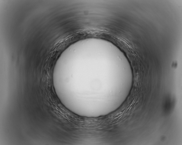 X0000101150917200806270756