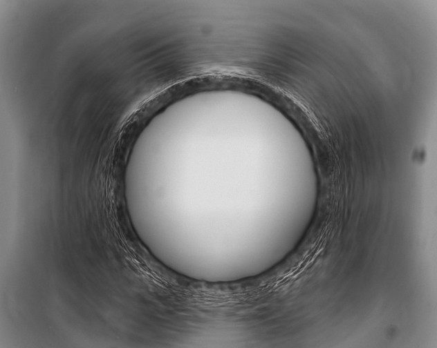 X0000101150919200806270756