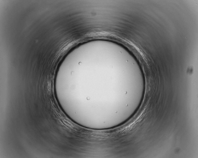X0000101150921200806270756