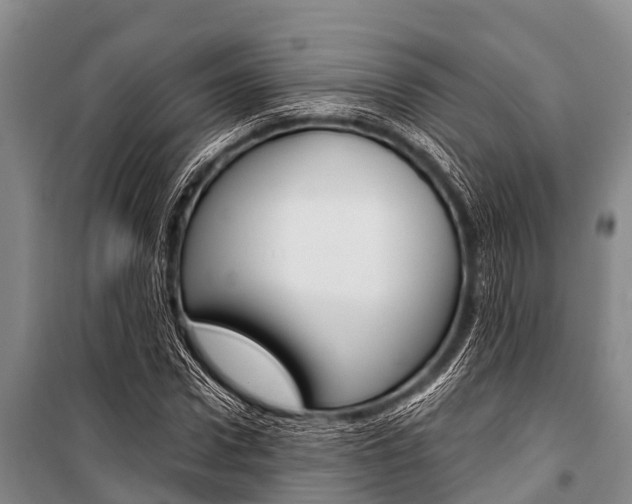 X0000101150922200806270756