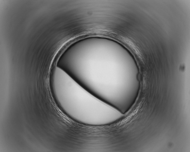 X0000101150924200806270756