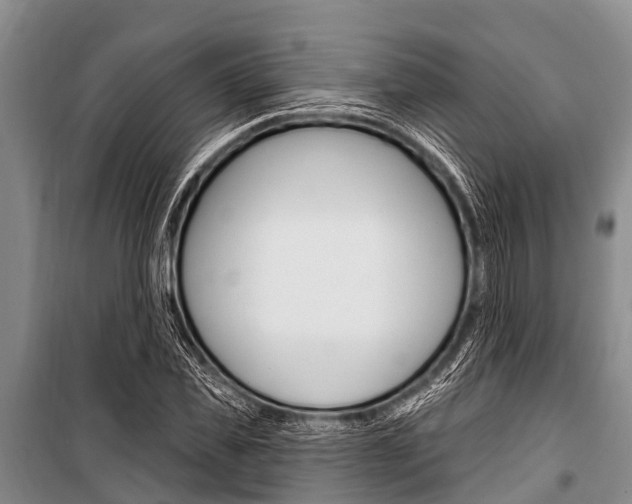 X0000101150925200806270756