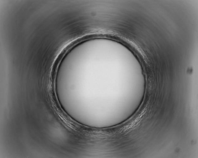 X0000101150927200806270756