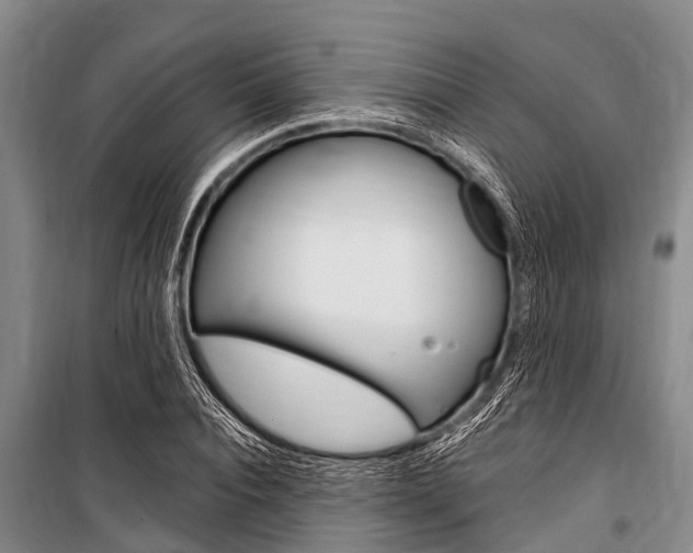 X0000101150928200806270756
