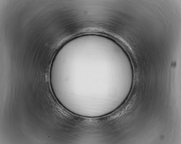 X0000101150929200806270756