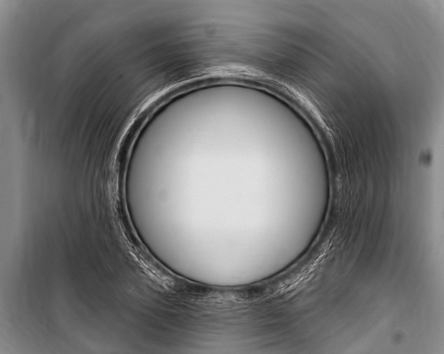 X0000101150931200806270756
