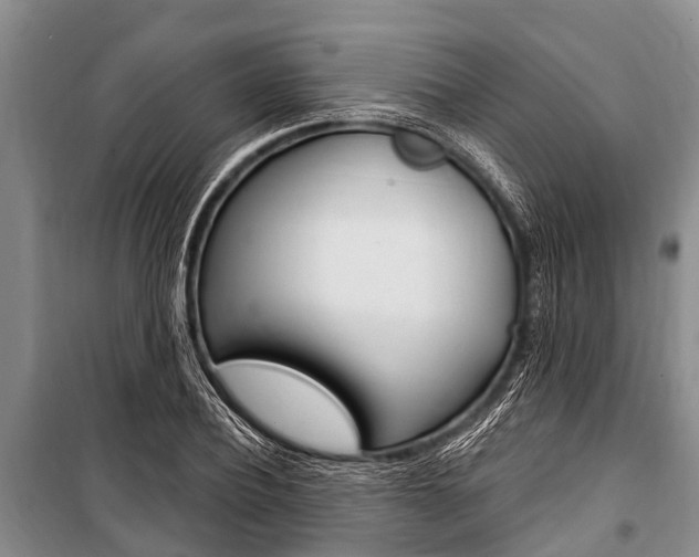 X0000101150932200806270756