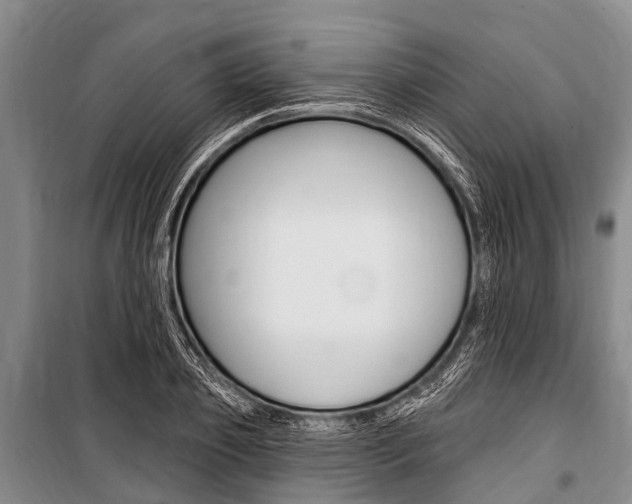 X0000101150933200806270756