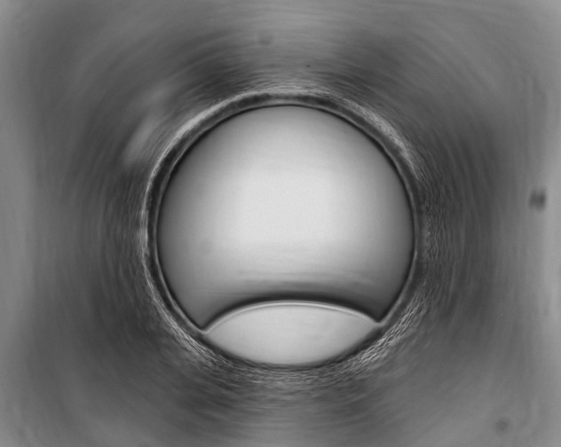 X0000101150935200806270756