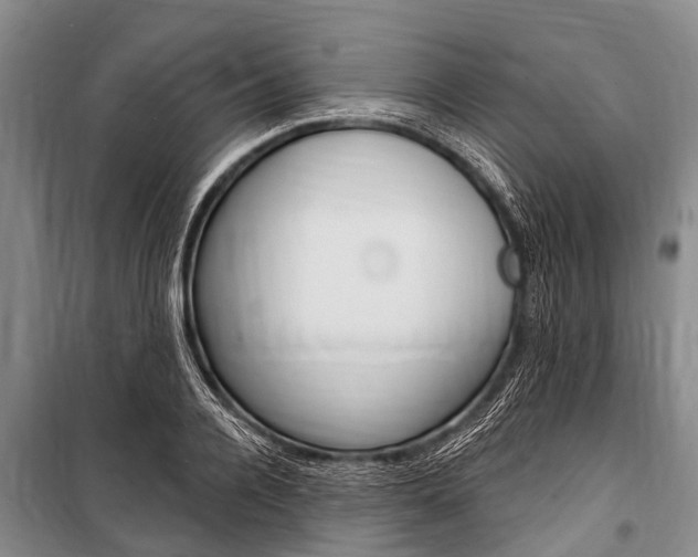 X0000101150936200806270756