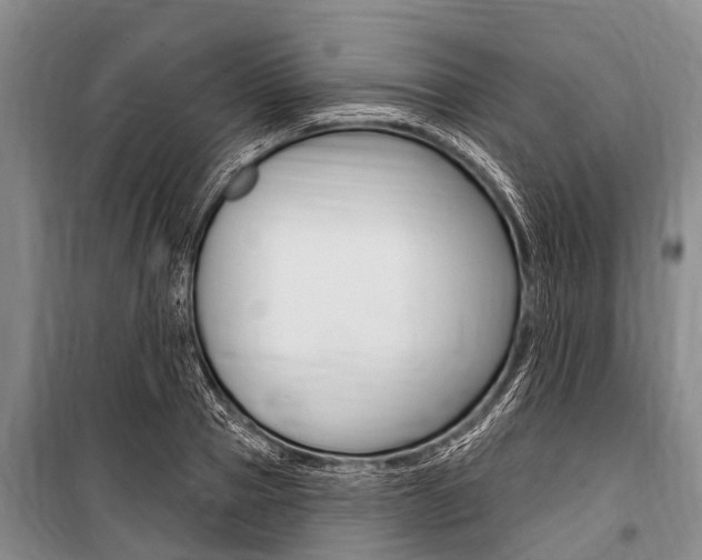 X0000101150937200806270756
