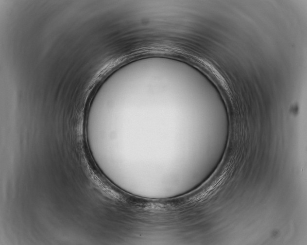 X0000101150938200806270756