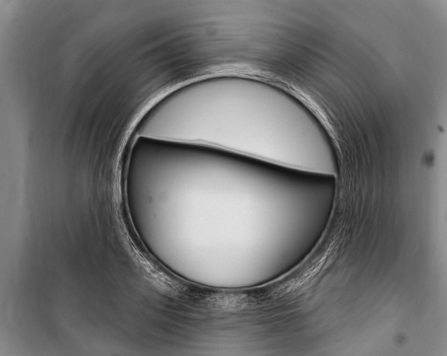 X0000101150939200806270756