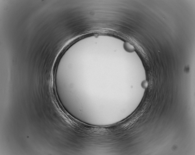 X0000101150940200806270756