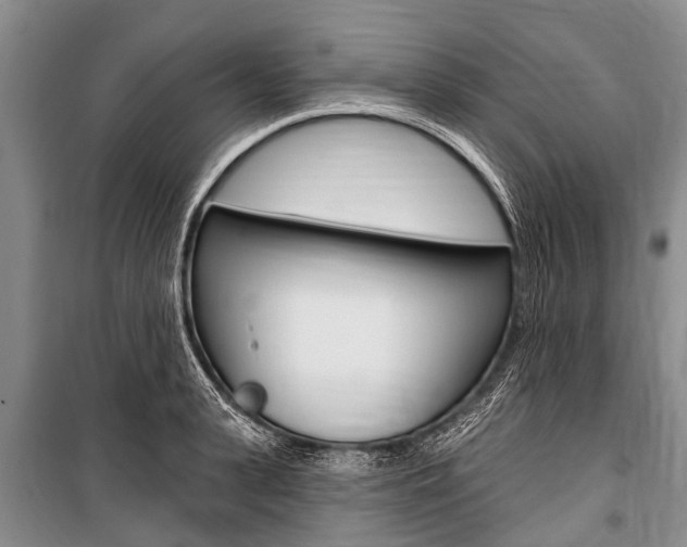 X0000101150943200806270756