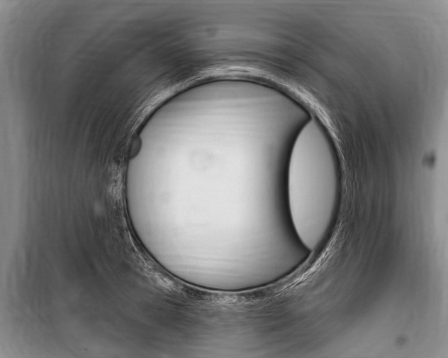 X0000101150945200806270757