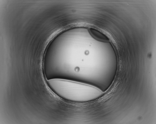 X0000101150946200806270757