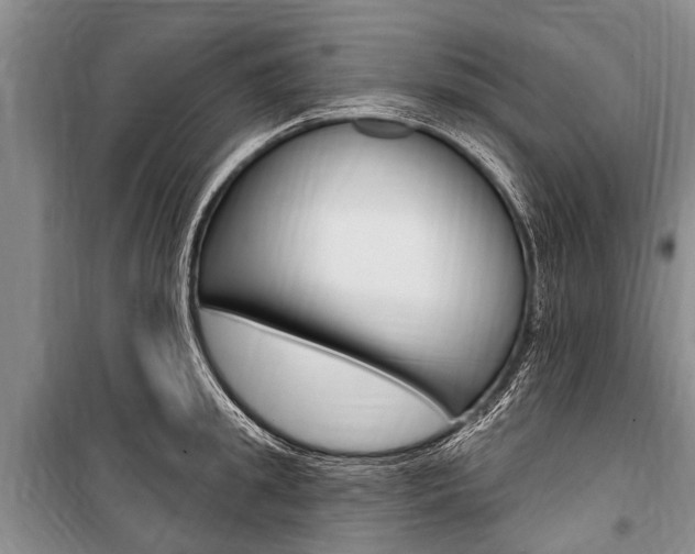 X0000101150949200806270757