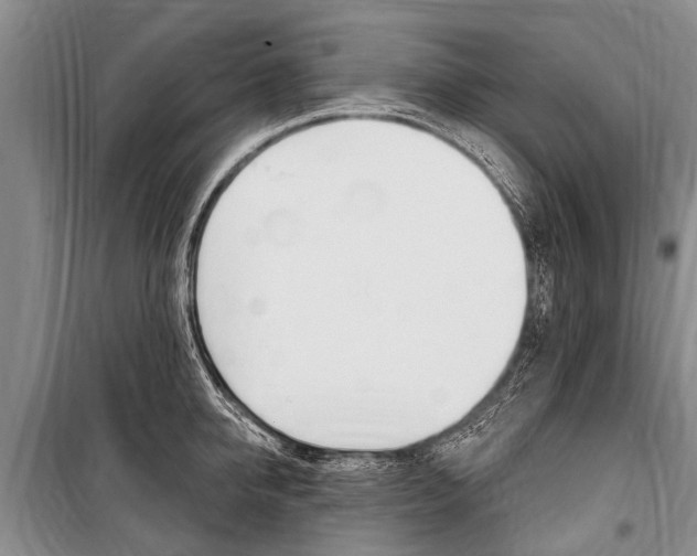 X0000101150950200806270757
