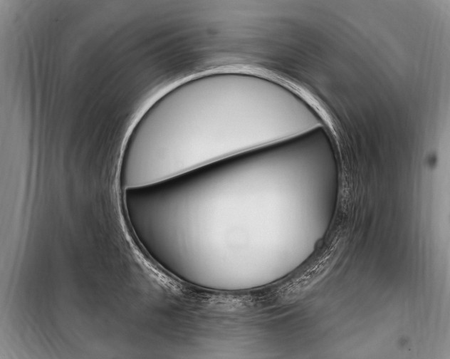 X0000101150951200806270757