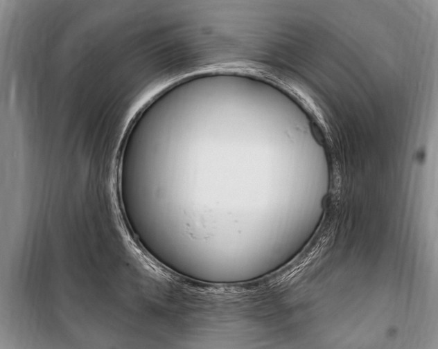 X0000101150952200806270757