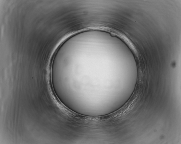 X0000101150955200806270757