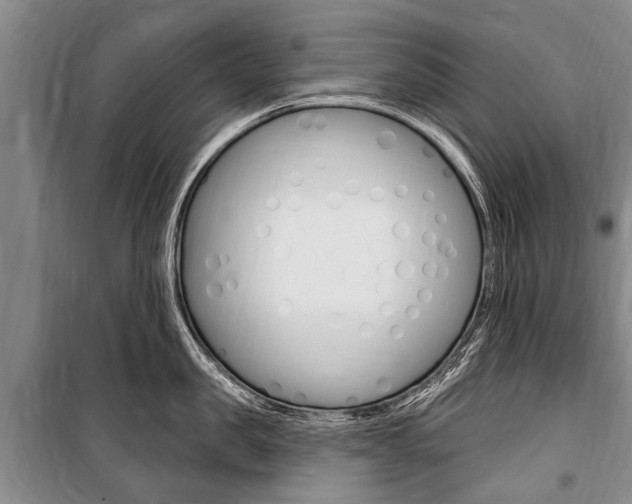 X0000101150957200806270757