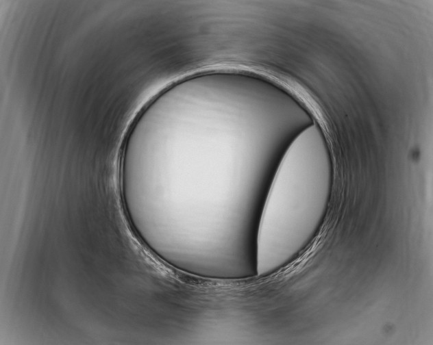 X0000101150958200806270757