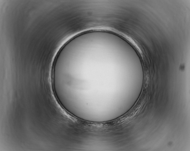 X0000101150959200806270757